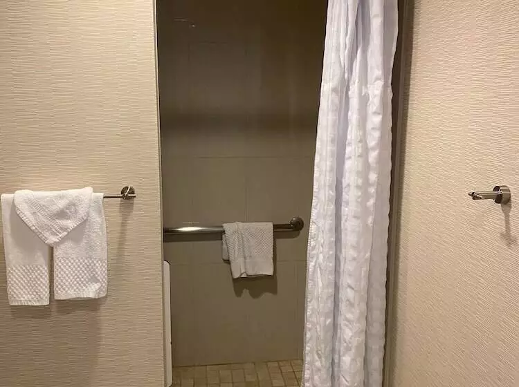 Sviitti Liikuntarajoitteisille, Embassy Suites Ontario Airport