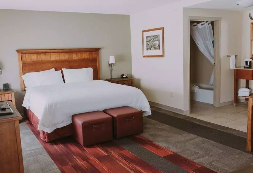 スタンダードスタジオ, Hampton Inn & Suites Green River