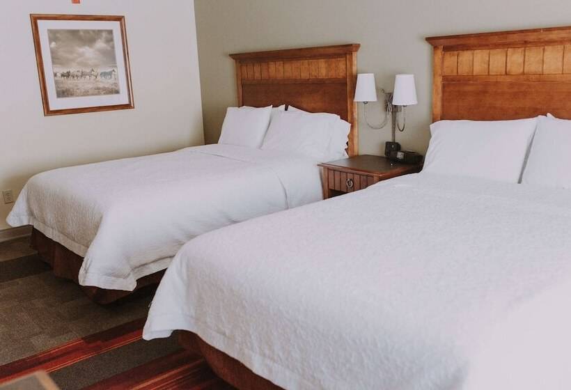 غرفة قياسية, Hampton Inn & Suites Green River