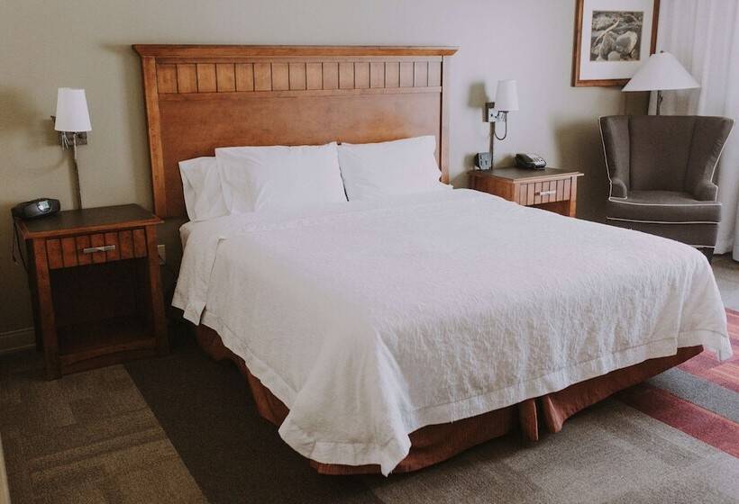 غرفة قياسية, Hampton Inn & Suites Green River