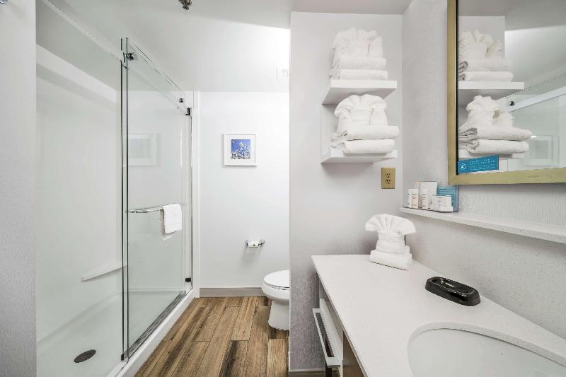 스탠다드 룸 킹사이즈 침대, Hampton Inn Wilson Downtown