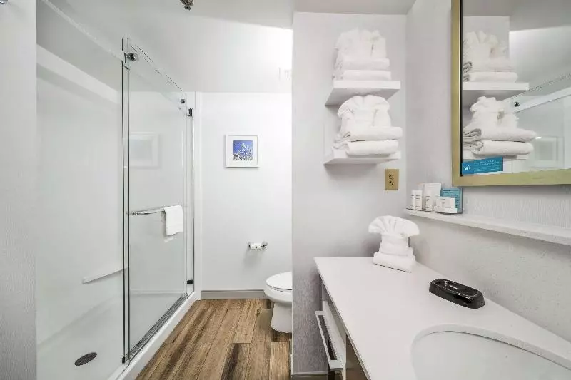 キングサイズベッドのスタンダードルーム, Hampton Inn Wilson Downtown