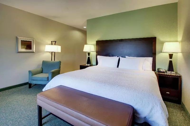 キングサイズベッドのスイートルーム, Hampton Inn Wilson Downtown