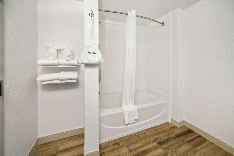 带大床的套房, Hampton Inn Wilson Downtown