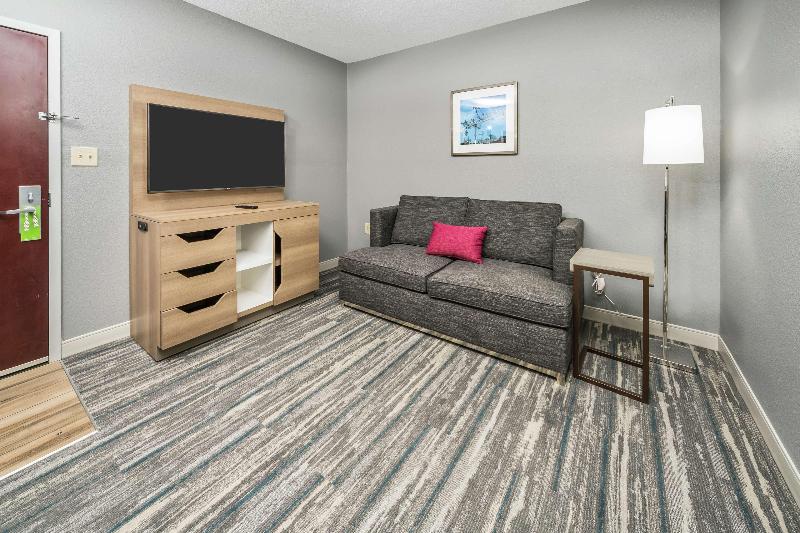 带大床的套房, Hampton Inn Wilson Downtown