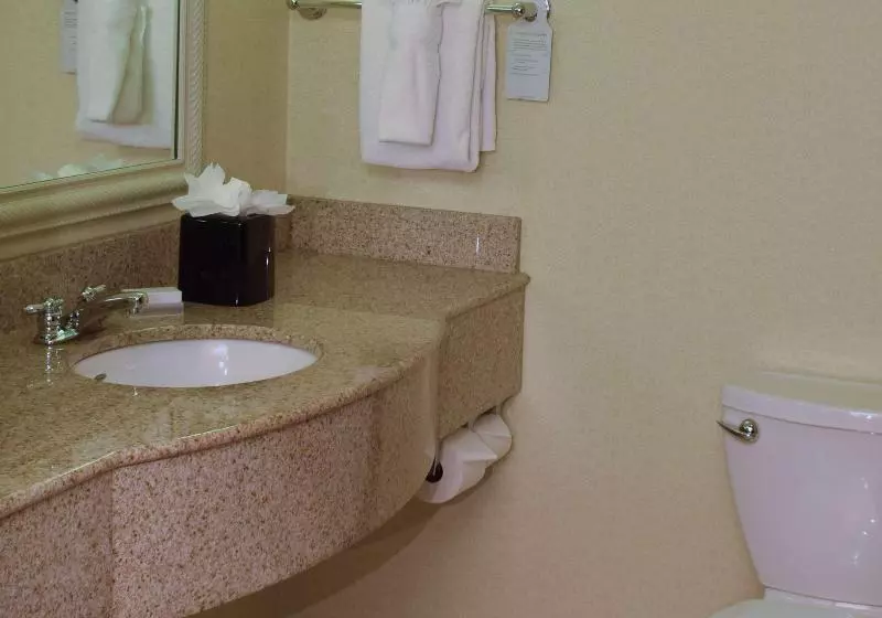 プレミアムルーム, Hilton Garden Inn Dayton Beavercreek