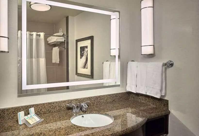 キングベッドのスタンダードシングルルーム, Hilton Garden Inn Gatlinburg