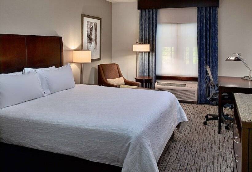 带大床的标准单人间, Hilton Garden Inn Gatlinburg