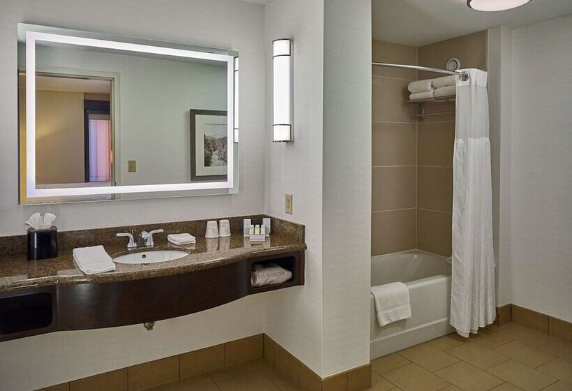 带大床的标准单人间, Hilton Garden Inn Gatlinburg