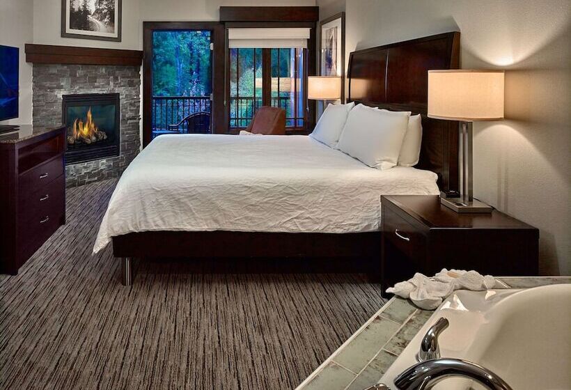 Pokój Jednoosobowy Standard Łóżko King Size, Hilton Garden Inn Gatlinburg
