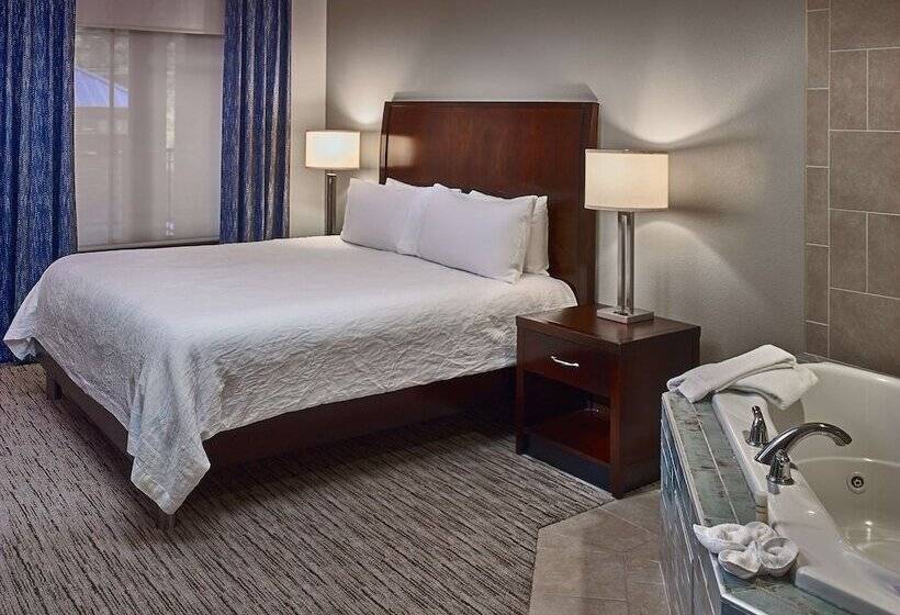 带大床的标准单人间, Hilton Garden Inn Gatlinburg