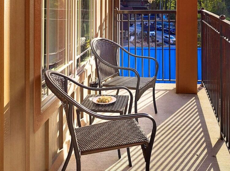 带大床的小型套房, Hilton Garden Inn Gatlinburg