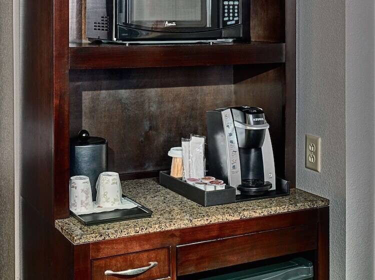 带大床的小型套房, Hilton Garden Inn Gatlinburg