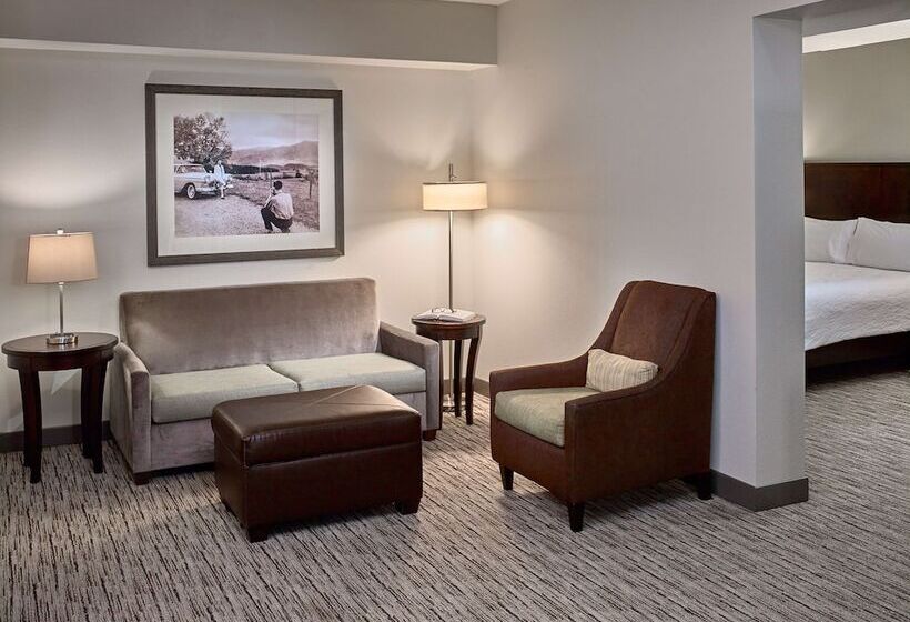Junior Suite Łóżko King Size, Hilton Garden Inn Gatlinburg