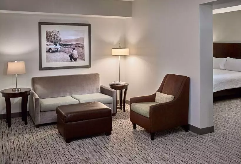 キングサイズベッドのジュニアスイート, Hilton Garden Inn Gatlinburg