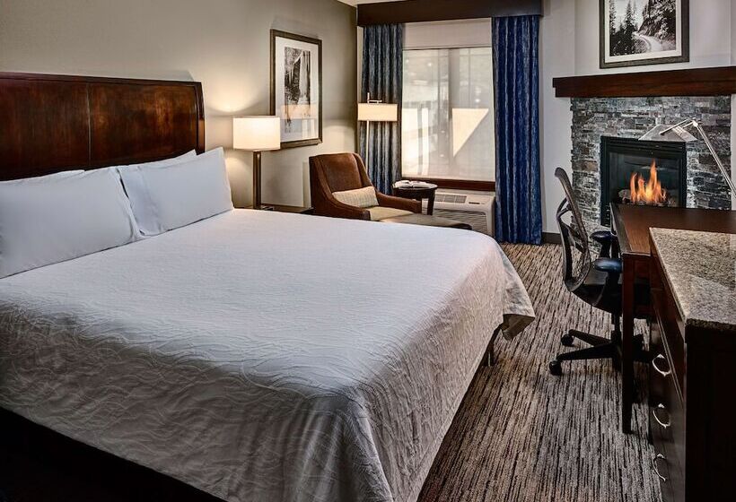 带大床的标准单人间, Hilton Garden Inn Gatlinburg