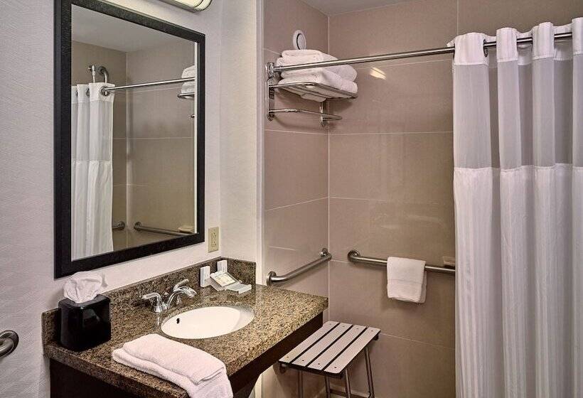 适合残疾人士使用的轻年套间, Hilton Garden Inn Gatlinburg