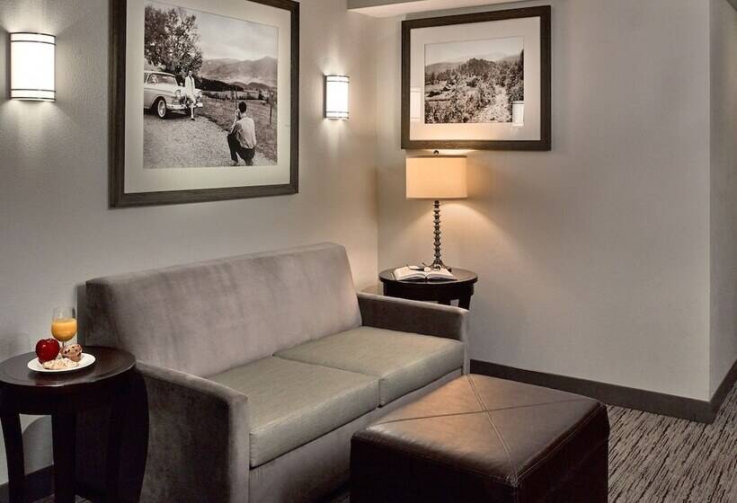 Junior Suite dla Osób Niepełnosprawnych, Hilton Garden Inn Gatlinburg