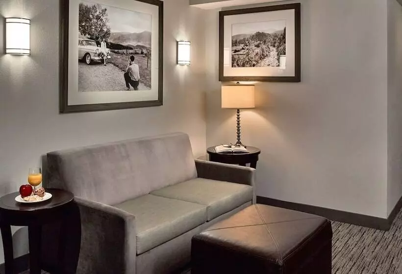身障者適用ジュニアスイートルーム, Hilton Garden Inn Gatlinburg