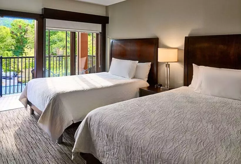 クイーンサイズベッドのジュニアスイート, Hilton Garden Inn Gatlinburg