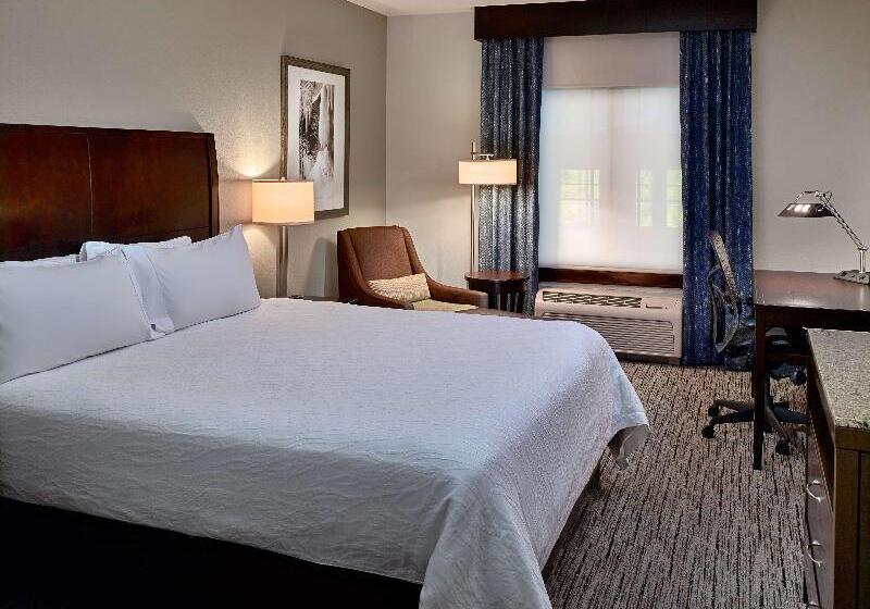 带大床的标准间, Hilton Garden Inn Gatlinburg