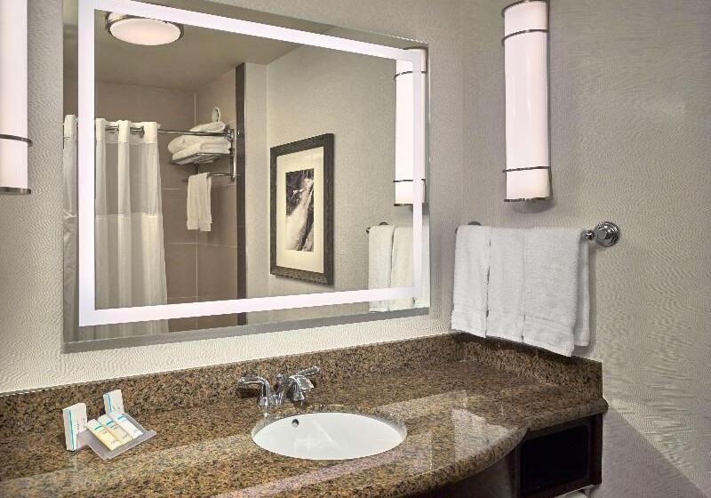 小型套房带阳台, Hilton Garden Inn Gatlinburg