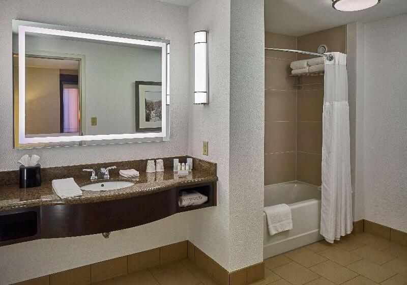 Junior Suite z Balkonem, Hilton Garden Inn Gatlinburg
