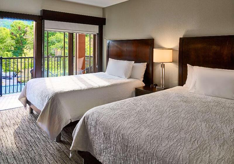 小型套房带阳台, Hilton Garden Inn Gatlinburg