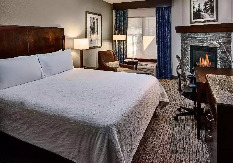 キングサイズベッドのスタンダードルーム, Hilton Garden Inn Gatlinburg