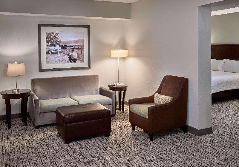 带皇后床的青年套间, Hilton Garden Inn Gatlinburg