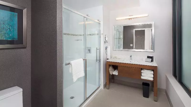 身障者適用スタンダードルーム, Hilton Garden Inn New Braunfels