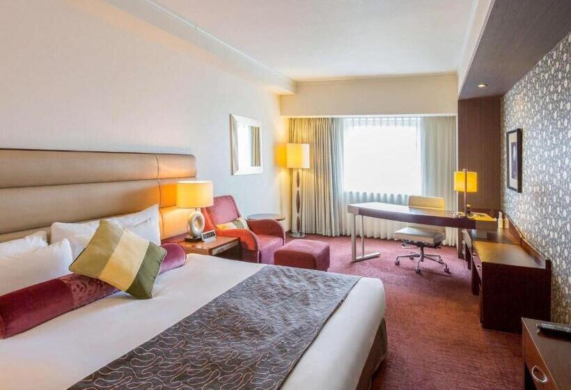 غرفة ديلوكس سرير كينج, Ibis Styles Sapporo