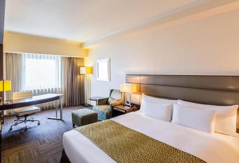 غرفة ديلوكس سرير كينج, Ibis Styles Sapporo