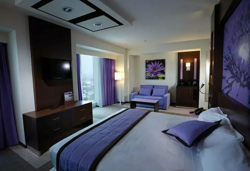 اتاق اجرایی, Hotel Riu Plaza Guadalajara