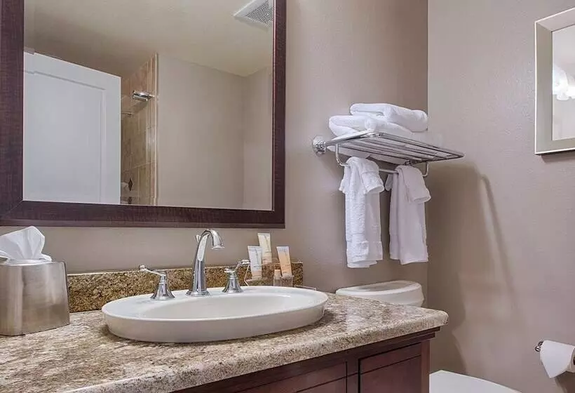 １ベッドルームアパートメント, Club Wyndham National Harbor