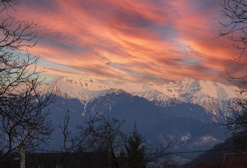 غرفة قياسية مطلة على الجبل, La Maison Des Rêves   Bran