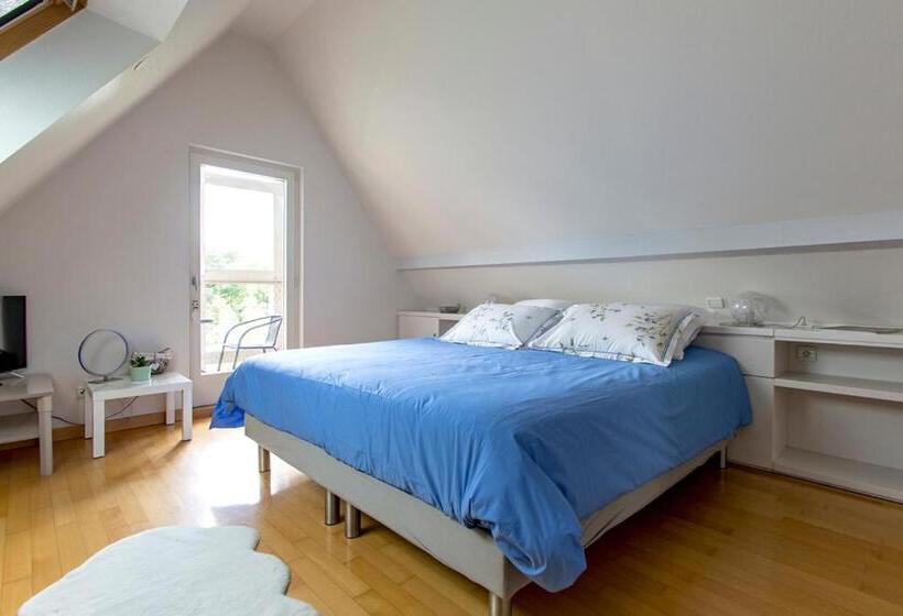 Люкс 2 Спальни, Villacosy Spa  Strasbourg Villa Dolce