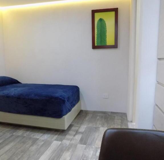 اتاق استاندارد یک نفره, Ken Tehuacan