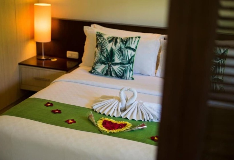 Люкс, Kokonut Suites