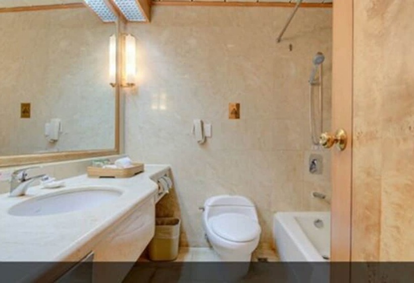 חדר סטנדרט, Zhuhai Dehan