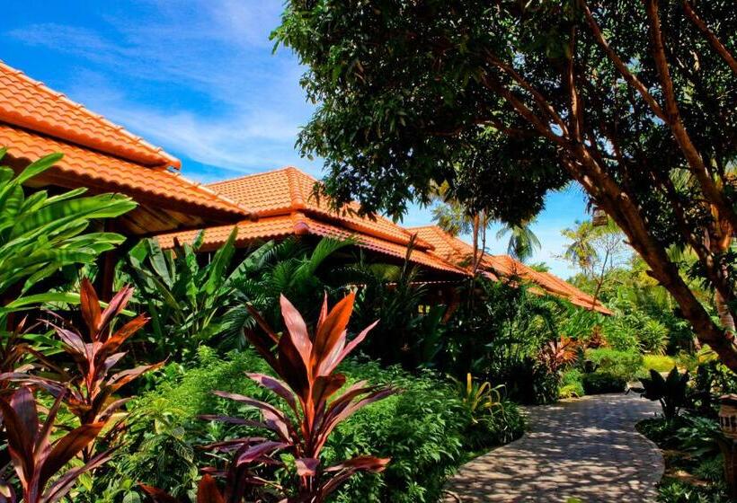 Бунгало Superior, Smile House   Fisherman Village