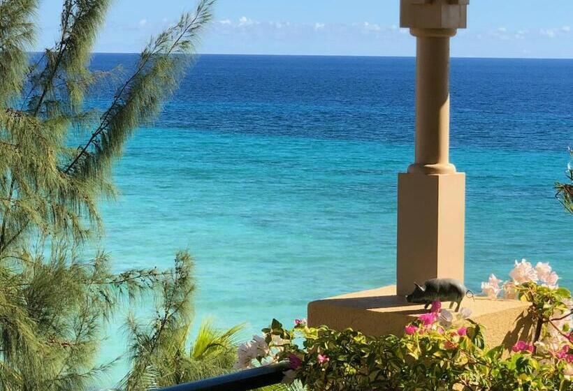 1 Bedroom Penthouse Apartment, White Sands Beach Condos