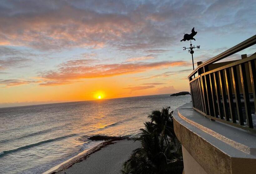 1 Bedroom Penthouse Apartment, White Sands Beach Condos