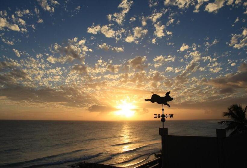 1 Bedroom Penthouse Apartment, White Sands Beach Condos