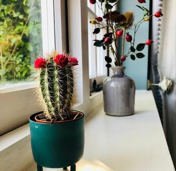 חדר דלוקס, Heydon Guest Suite