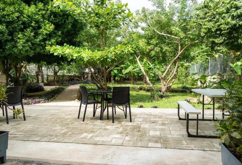 اتاق استاندارد, Gran Jaguar