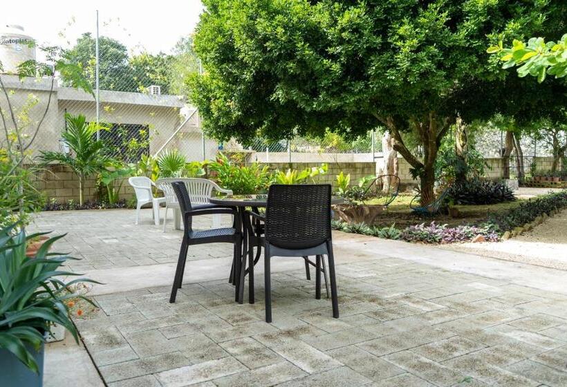 اتاق استاندارد, Gran Jaguar