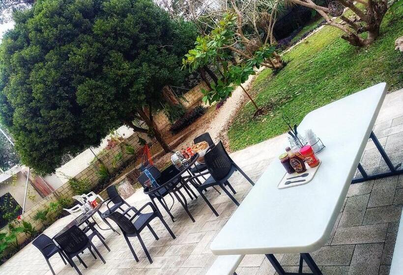 اتاق استاندارد, Gran Jaguar