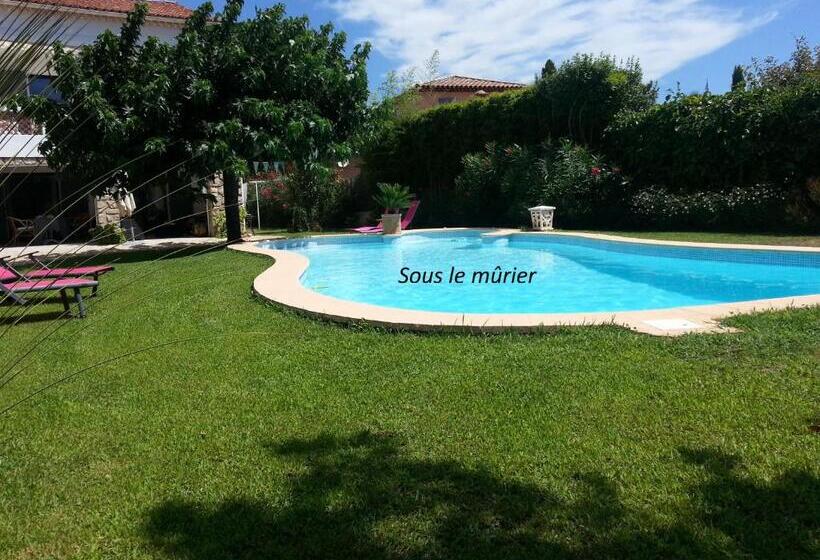 Четырехместный Номер Стандарт, Sous Le Mûrier