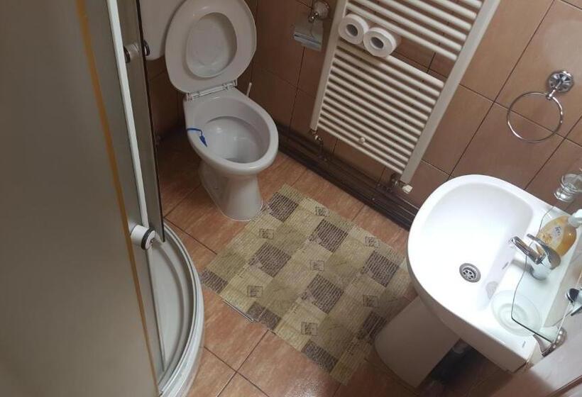 اتاق استاندارد, Pensiunea Dealul Frumos